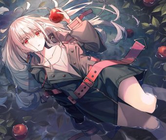 一键LNMP+wordpress建站